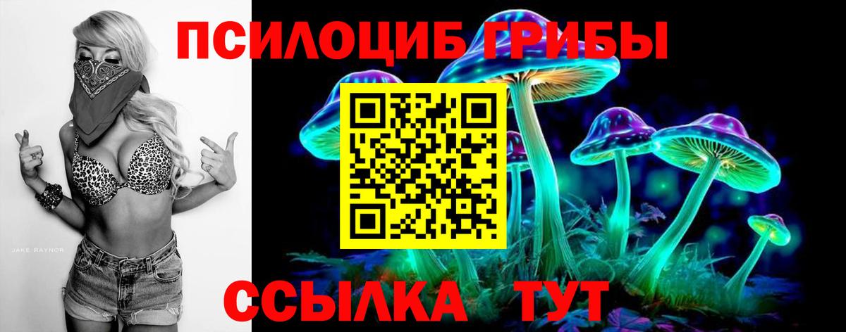 Псилоцибиновые грибы Psilocybe  Вход с VPN  Псилоцибиновые грибы ЛСД  Миасс 