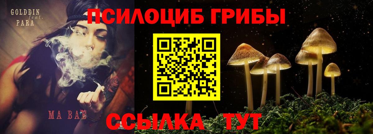 Галлюциногенные грибы MAGIC MUSHROOMS Миасс